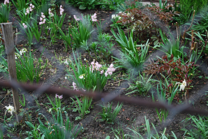 DSC_1354