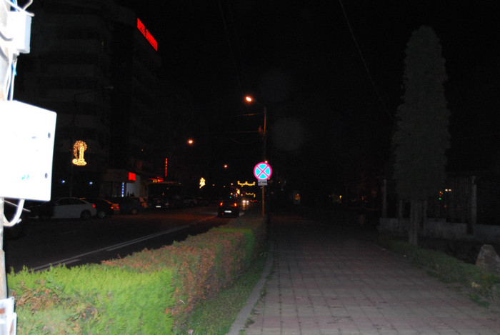 DSC_1421