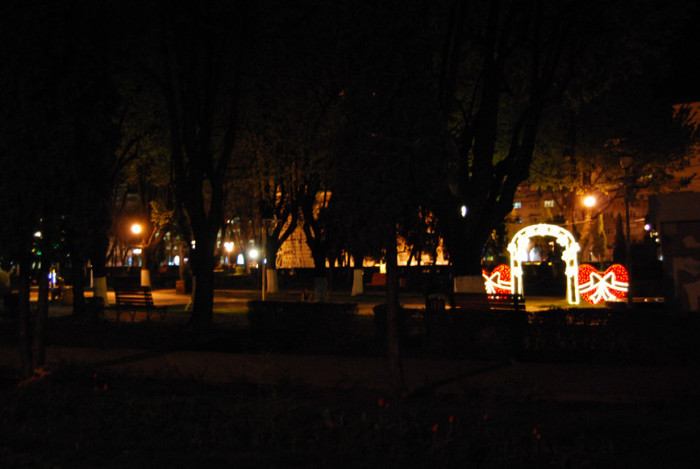 DSC_1423