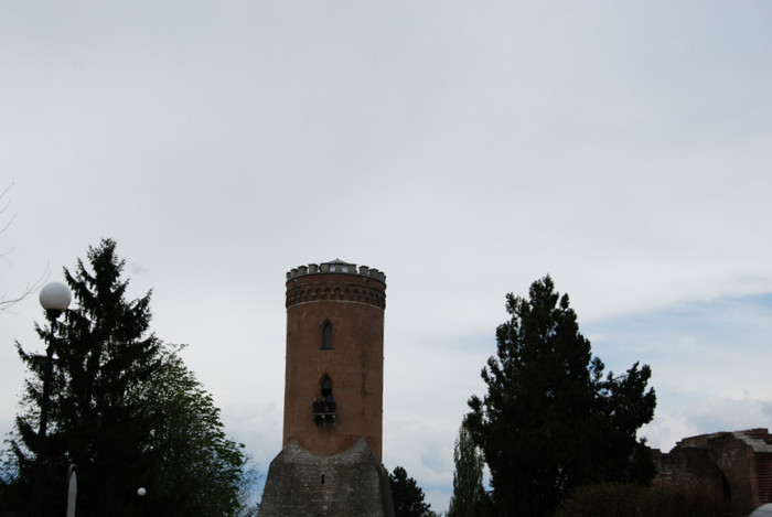 DSC_1450