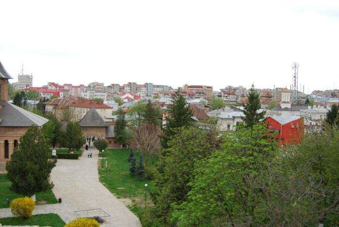 DSC_1488
