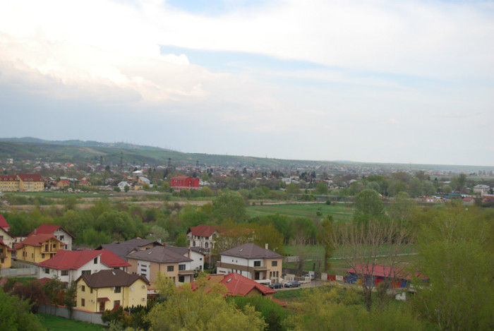 DSC_1500