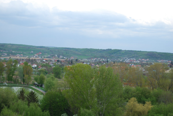 DSC_1501