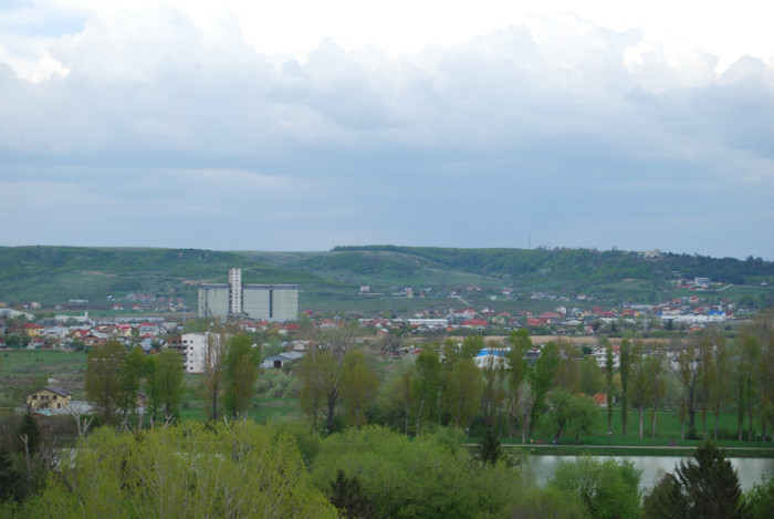 DSC_1502
