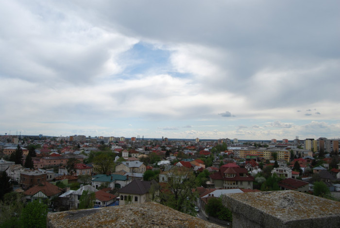 DSC_1508
