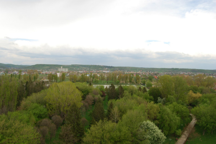 DSC_1511