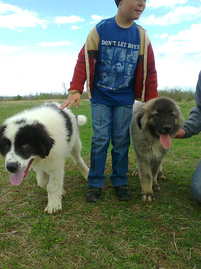 photo0491