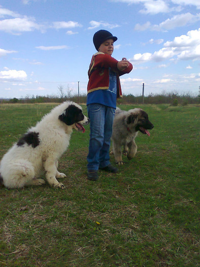 photo0493