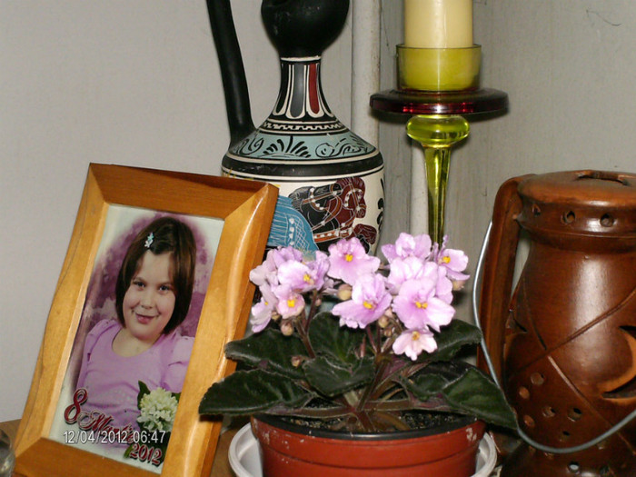 aprilie 029 - violetele mele_2012