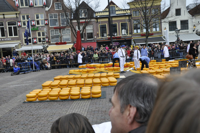 _DSC2866 - Alkmaar 2012