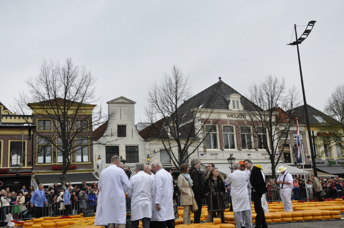 _DSC2886 - Alkmaar 2012