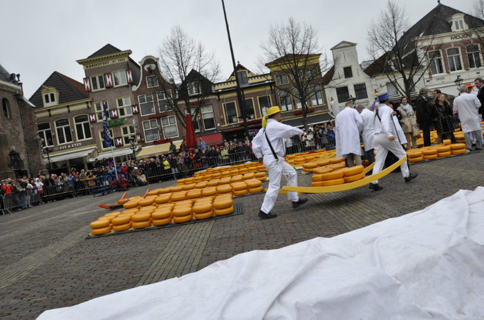 _DSC2888 - Alkmaar 2012