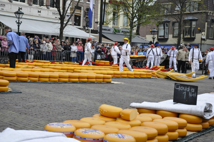 _DSC2895 - Alkmaar 2012