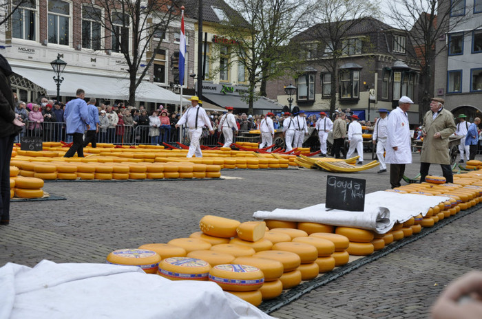 _DSC2896 - Alkmaar 2012