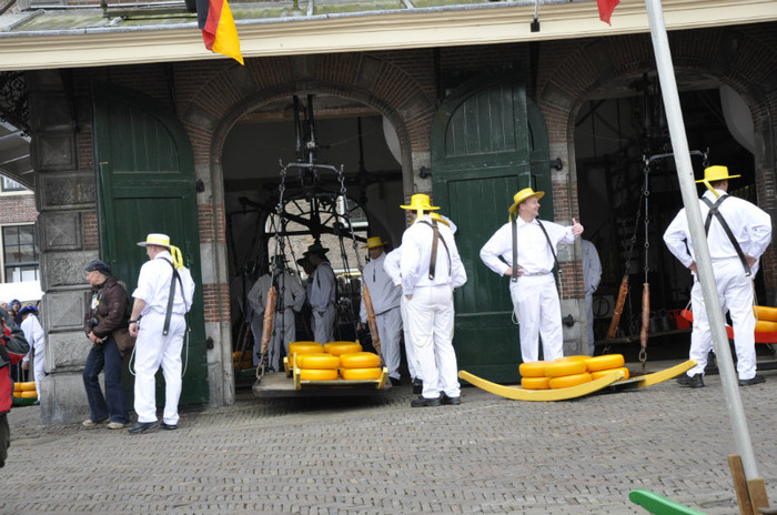 _DSC2915 - Alkmaar 2012