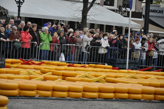 _DSC2925 - Alkmaar 2012