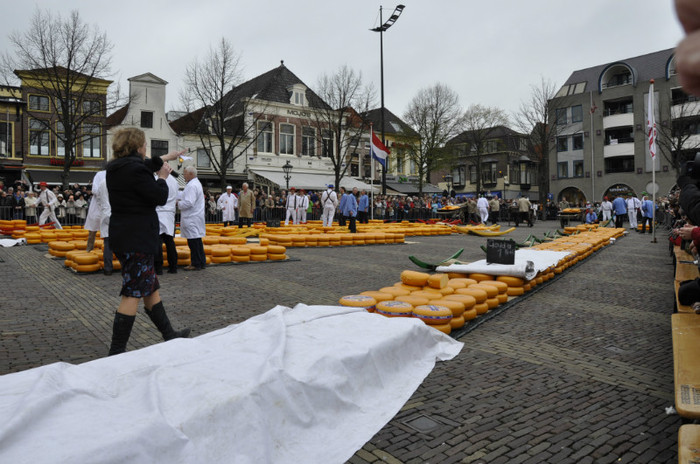 _DSC2932 - Alkmaar 2012