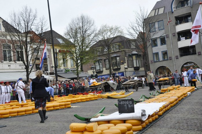 _DSC2933 - Alkmaar 2012
