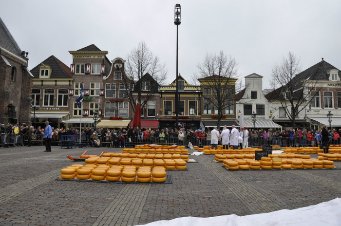 _DSC2990 - Alkmaar 2012