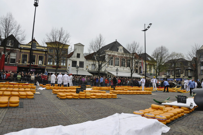 _DSC2991 - Alkmaar 2012