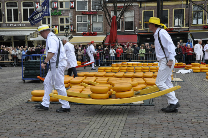 _DSC3015 - Alkmaar 2012