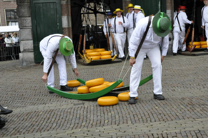 _DSC3017 - Alkmaar 2012