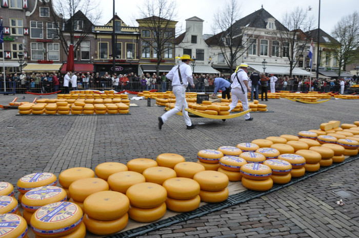 _DSC3054 - Alkmaar 2012