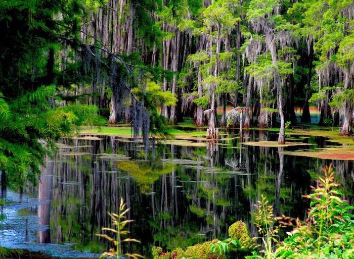 541970_271102426314617_120991581325703_564394_512546116_n