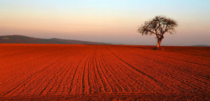 545891_271102872981239_120991581325703_564409_1670409452_n