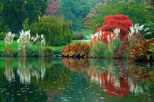 564226_271103059647887_120991581325703_564417_990386428_n - peisaje de basm