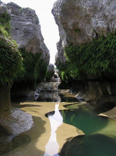 582326_271103146314545_120991581325703_564420_596073721_n