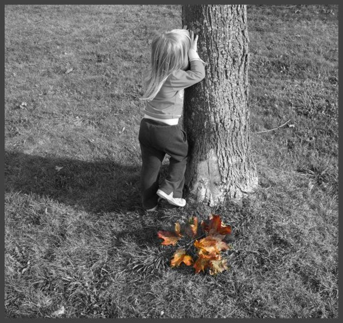 421224_252918751466318_120991581325703_520749_686859990_n