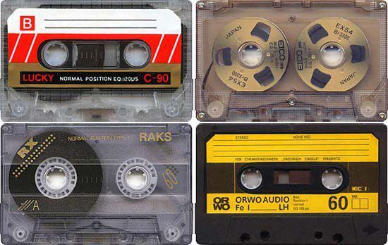 555872_261572140600979_120991581325703_541487_772941308_n