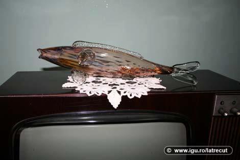 562580_279020515522808_120991581325703_580154_499893002_n