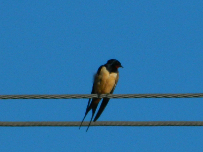 DSCN3777