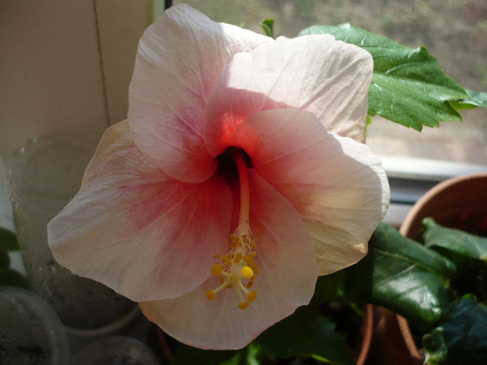 P1120780