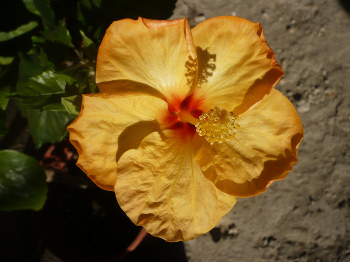 P1120803