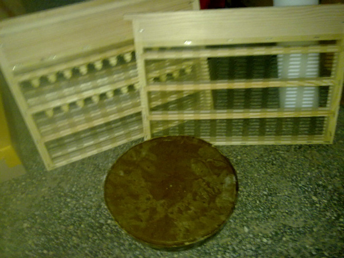 26042012378