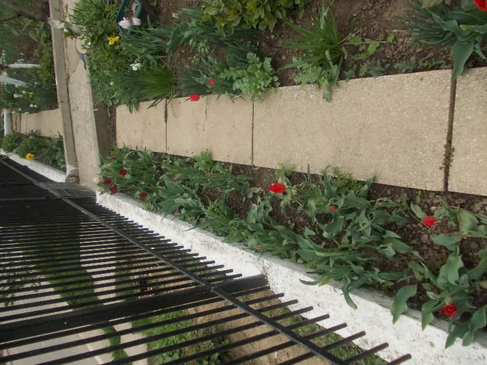 sfarsit de aprilie 021