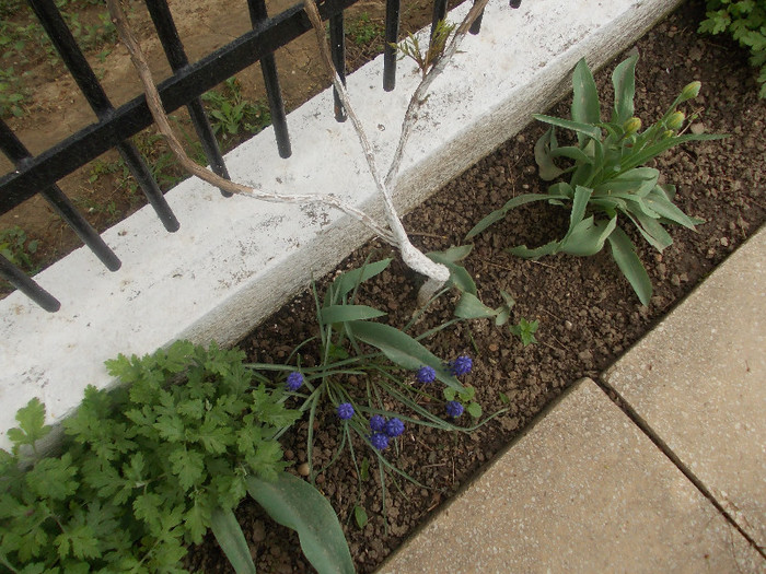 sfarsit de aprilie 023