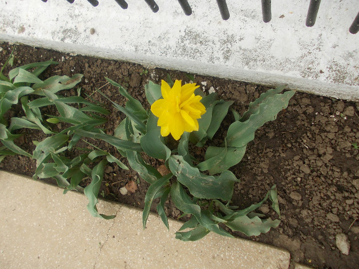 sfarsit de aprilie 025