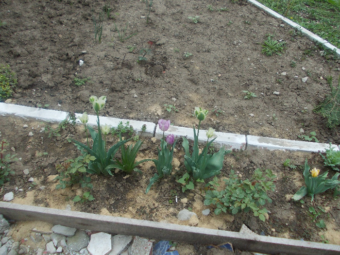 sfarsit de aprilie 029