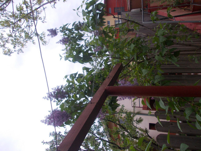 sfarsit de aprilie 033