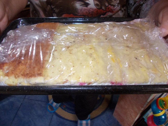 DIPLOMAT ,,,GATA DE ORNAT