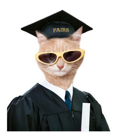 Pisi studenta