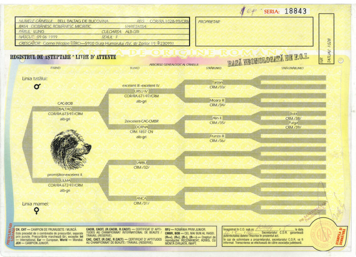 Bell Baltag de Bucovina - pedigree false gresite si incomplete