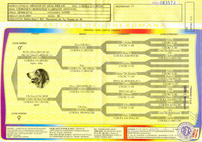 Canisa Araldream pedigree fals - pedigree false gresite si incomplete