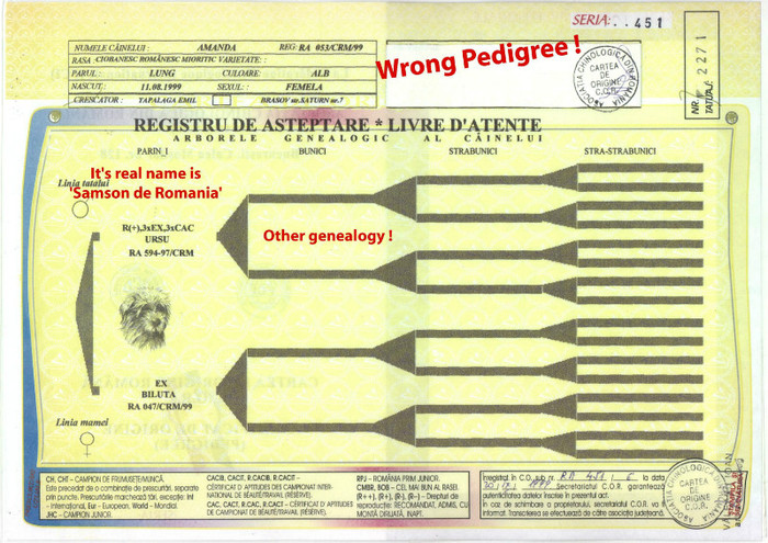 Amanda 1 pedigree false - Der false pedigree