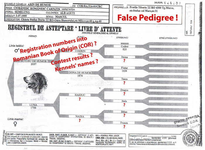 arin de humor fals pedigree - Der false pedigree