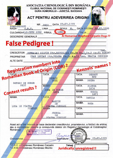 codrut fals pedigree engl - False pedigree pour chien eliberee par ACHR